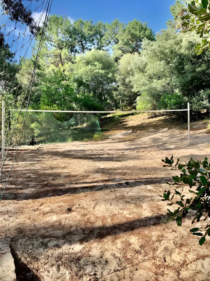 Villa Un Nid Dans La Pinede Lacanau Esterno foto